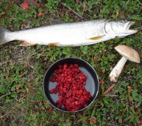 Pêche et nourriture